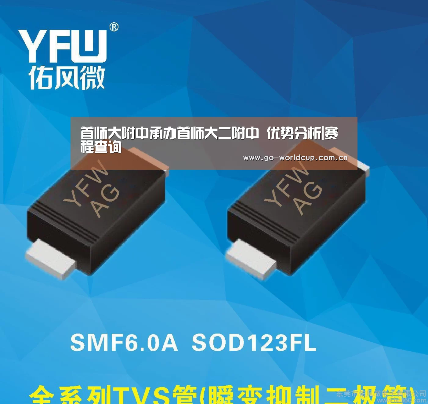 中文资讯