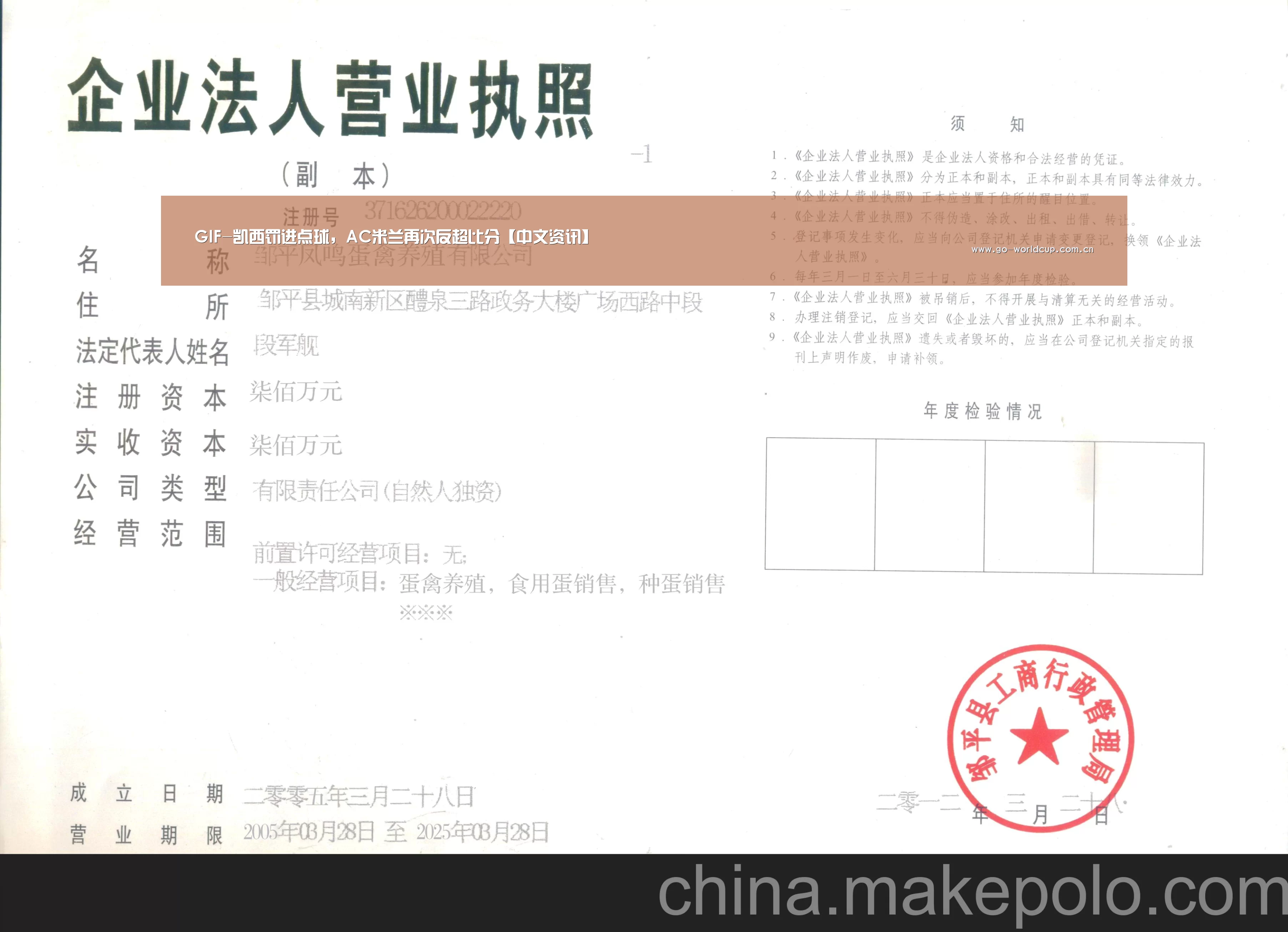 中文资讯