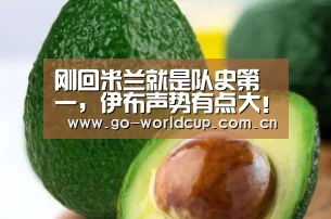 刚回米兰就是队史第一,伊布声势有点大!【赛程查询】(图1) 中文资讯