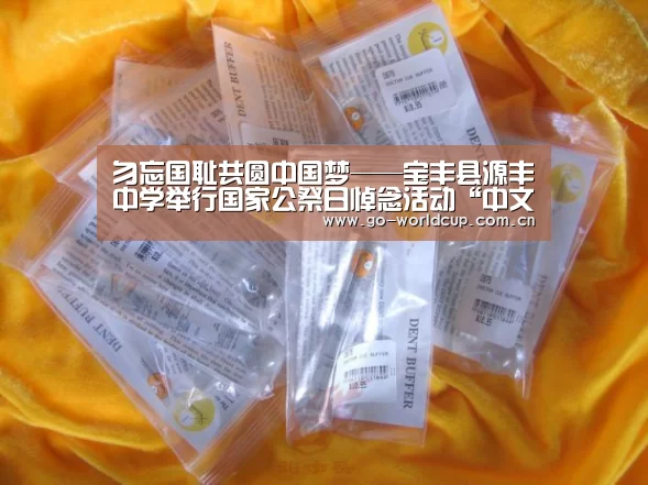 勿忘国耻共圆中国梦——宝丰县源丰中学举行国家公祭日悼念活动“